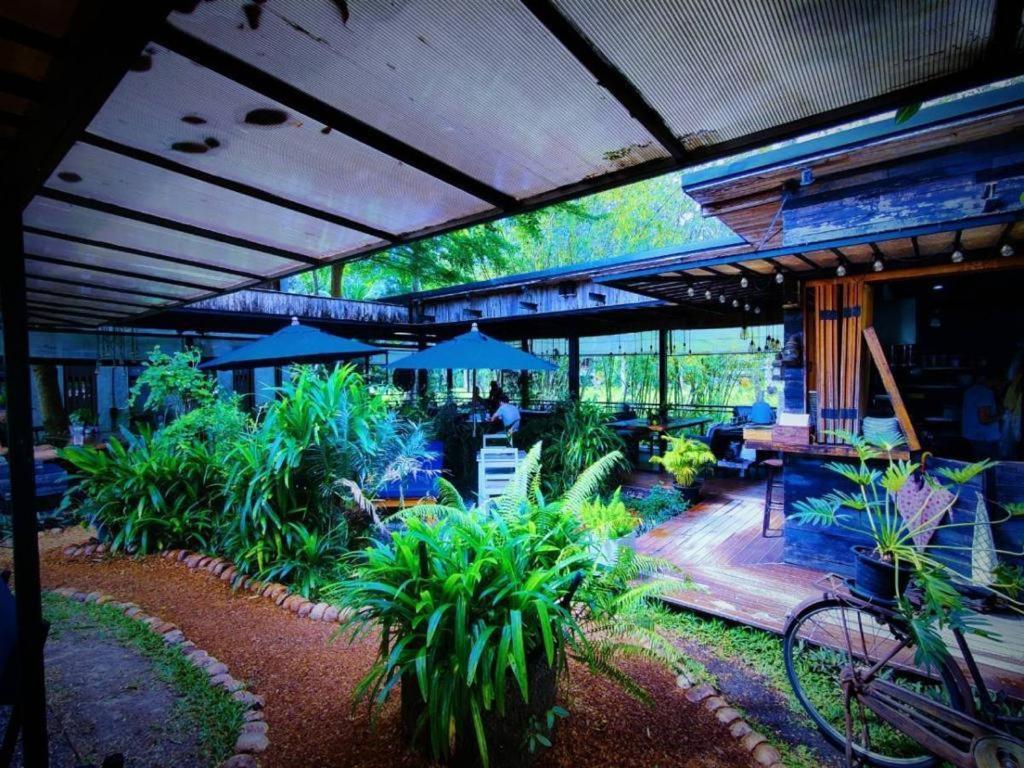 The Willow Phangan Ko Pha Ngan Exterior foto